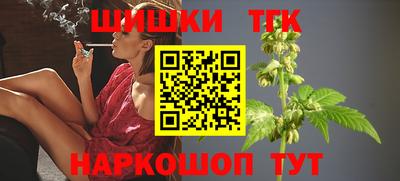 МДПВ Новокубанск